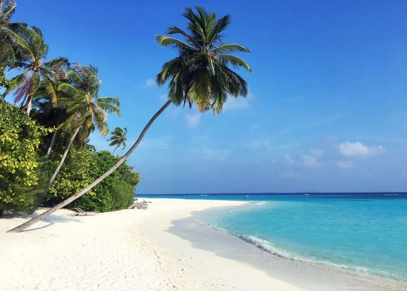 Stampa su tela da intelaiare — Spiaggia Hawaii