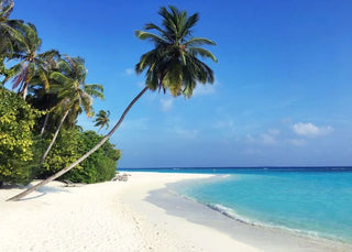 Stampa su tela da intelaiare — Spiaggia Hawaii