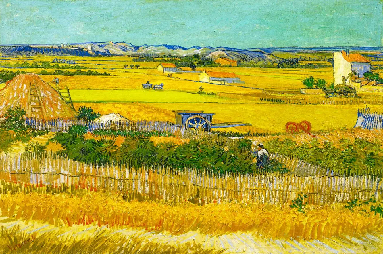 Stampa su tela da intelaiare — Homage to Van Gogh