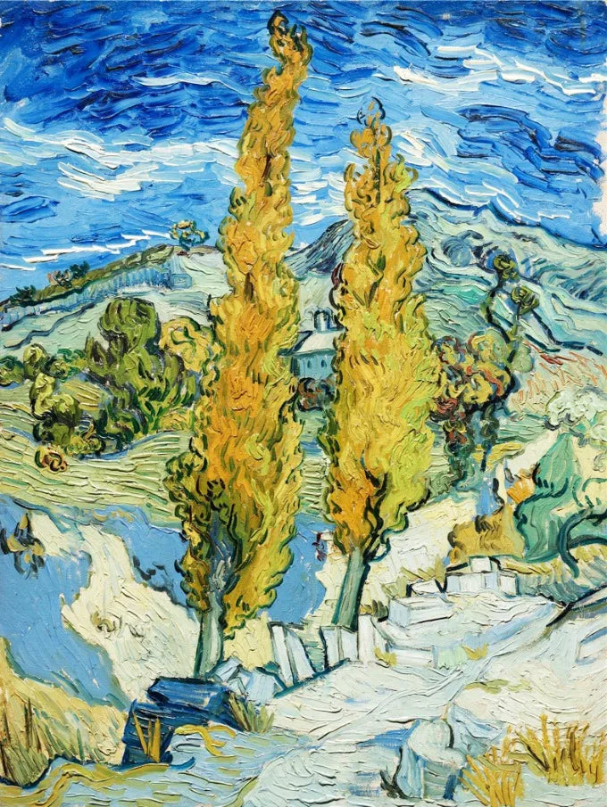 Stampa su tela da intelaiare — Homage to Van Gogh
