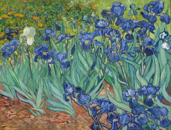 Stampa su tela da intelaiare — Homage to Van Gogh