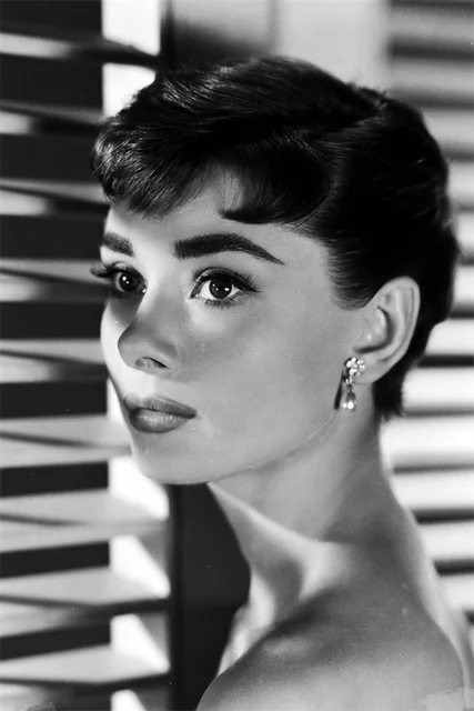 Stampa su tela da intelaiare — Homage to Audrey